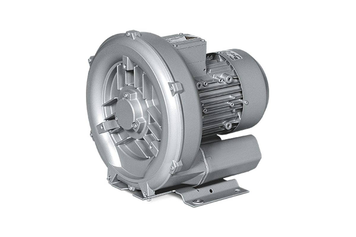 Elmo Rietschle G-Series